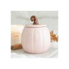 Pink Curly Pumpkin Oil Burner