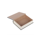 The Misfortune Teller Book Shaped Storage Box