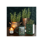 Green Witch Book Shaped Vase