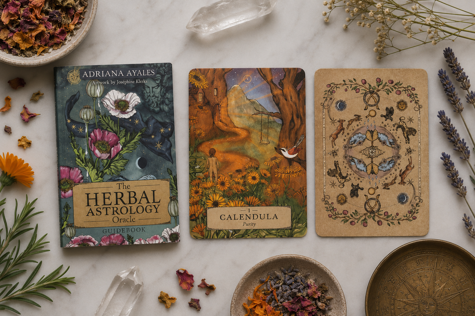 The Herbal Astrology Oracle Cards